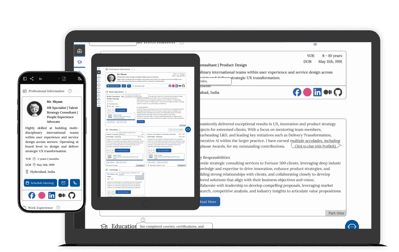 Professional profile example